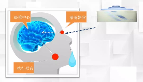 一節小學生也能聽懂的專業課：機器人和物聯網是怎么協同工作的？