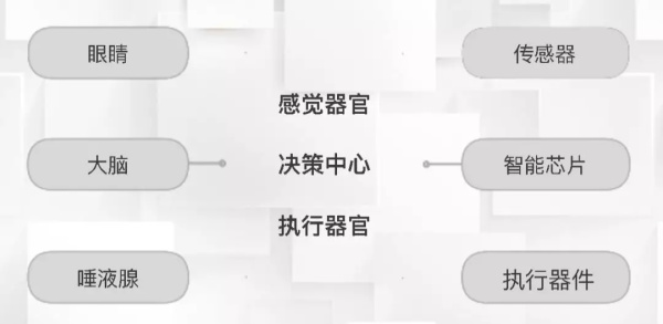 一節小學生也能聽懂的專業課：機器人和物聯網是怎么協同工作的？